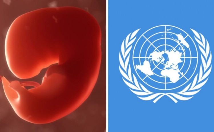  Ganó la Vida: la ONU desistió en imponer el aborto como excusa por la pandemia