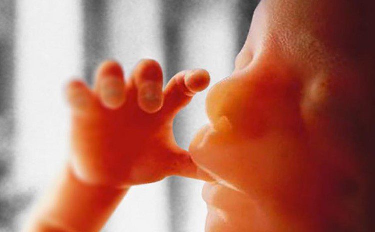  Ley de Illinois obliga a centros de embarazo provida a promover el aborto